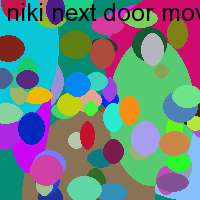 niki next door movie